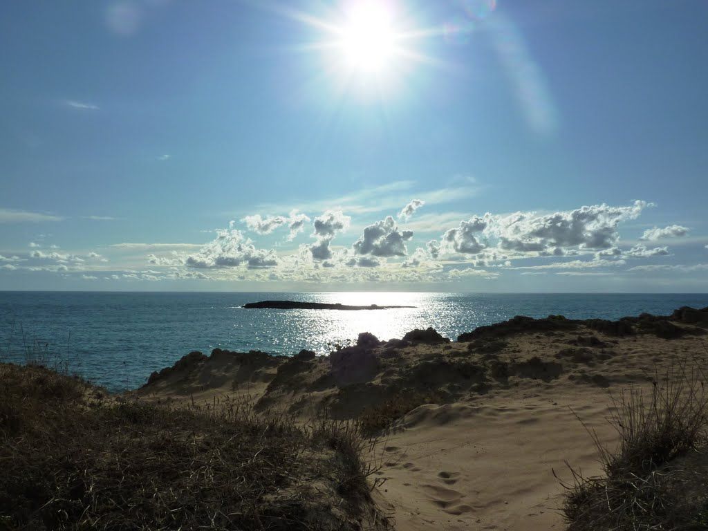 L'isola delle Pazze