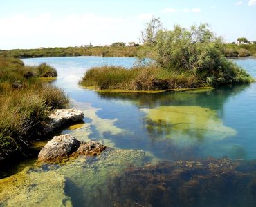 Porto Selvaggio e Palude del Capitano, un salto nella natura incontaminata